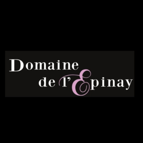 Logo du domaine de L'epinay Clisson