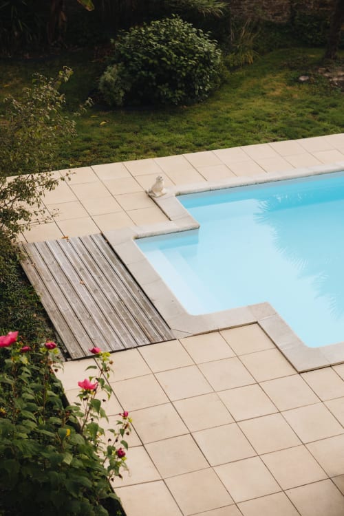 Vue de la piscine de La Maison D'olivier avec eau turquoise, terrasse carrelée, transat en bois et jardin luxuriant à Mesnard La Barotière