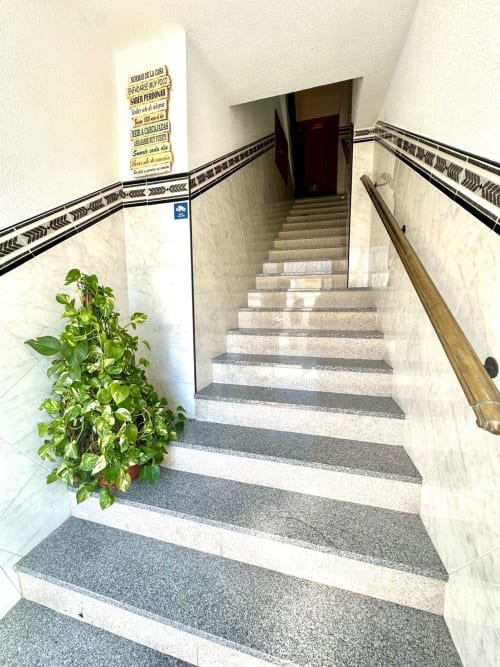 Escalera del edificio Gestyp-AT en Mérida con peldaños rayados, barandal de madera y planta verde