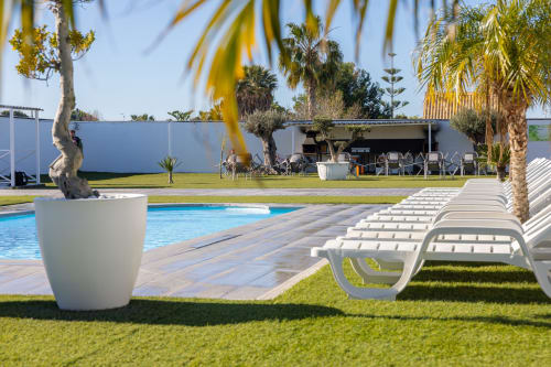 Bungalow Buda Beach pool area with lounge chairs, palm trees, and garden in Chipiona