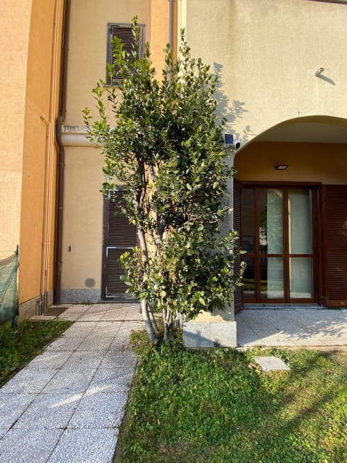 Corte interna dell'Apartment Roma 1 di THE V Collection a Turate con lussureggianti piante verdi, arco in pietra e terrazza pavimentata