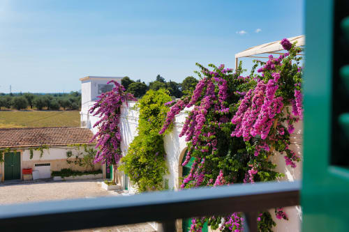 Giardino con balcone di Villa Ceci ad Andria: bouganvillea fucsia che scende elegante sugli edifici imbiancati