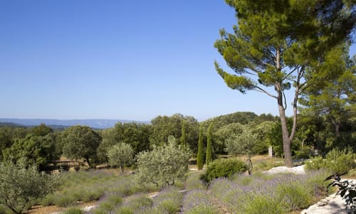 Lavande jardin hôtel - Mas de Garrigon Boutique Hôtel