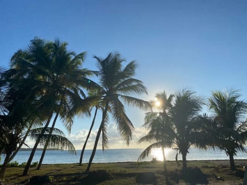 Vue de la plage des Salines au Gosier, à seulement 10 minutes du Loft, L'Isménia-guadeloupe.