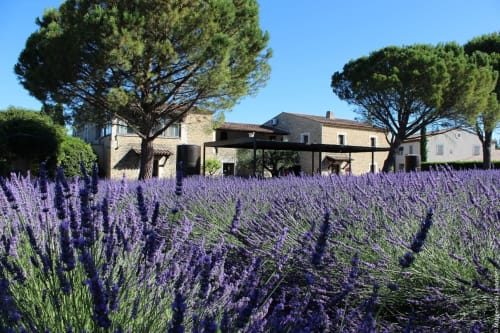 Hôtel proche du Musée de la Lavande -  Hôtel La Clé des Champs & SPA