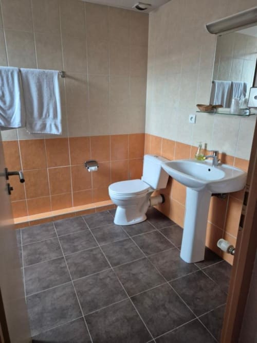 Lavatory | Toilet | Towel | Bathroom