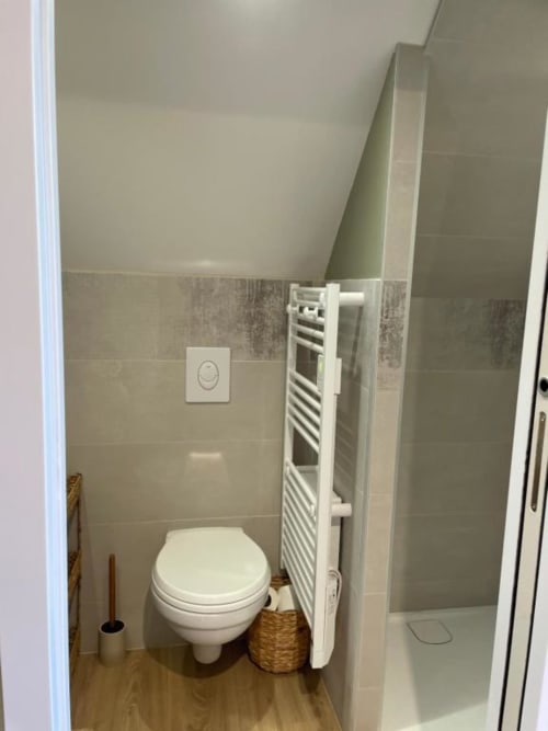 Toilettes | Miroir | Étagère | Salle de bain | Chasse d'eau
