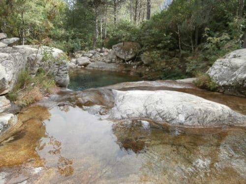 Découvrez les alentours de L'AIGLON | Zonza