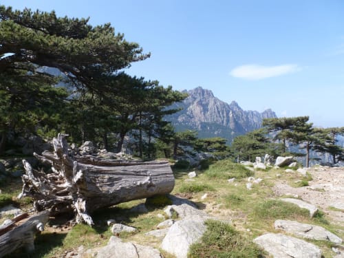 Découvrez les alentours de L'AIGLON | Zonza