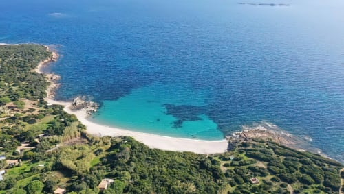 Plage de Calalonga  aux eaux turquoise 600 m de l'hôtel Marina Di Cavu entourée de végétation luxuriante à Bonifacio, Corse