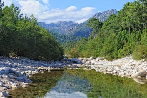 Découvrez les alentours de L'AIGLON | Zonza