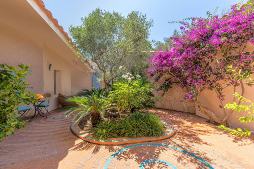 Jardin patio ensoleillé à Villa Marina Di Cavu à Bonifacio avec bougainvillée magenta éclatante, palmiers et terre cuite