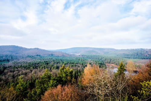 Montagne | Ciel | Arbres | Verts