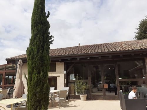 Terrasse du Domaine du haut de la Dombes avec cyprès, coin repas et patio couvert à Châtillon-sur-Chalaronne