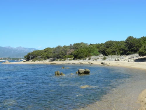 Bord de mer | Arbres | Montagne | Rochers