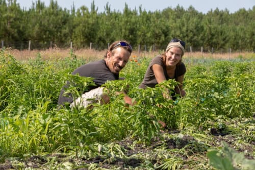 Twee gasten die groenten oogsten in de tuin van de farm-to-table ervaring bij Baccara Lodge in Arengosse
