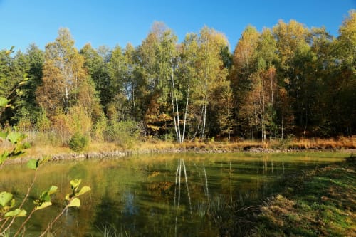 Évadez-vous dans la tranquillité des séjours ruraux pour une relaxation ultime. Profitez de paysages apaisants, de la nature magnifique et d’hébergements confortables parfaits pour vous ressourcer. Réservez votre escapade à la campagne dès aujourd’hui ! Les Gîtes d'Amélie