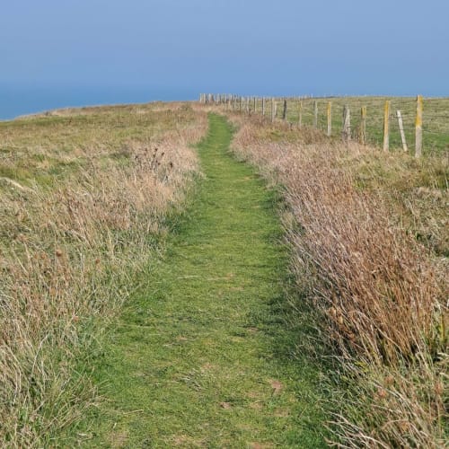 Un chemin parfait pour une randonnée ou un trail depuis le Clos Delamare