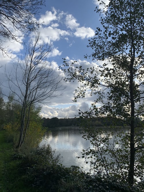 Etang Porcher