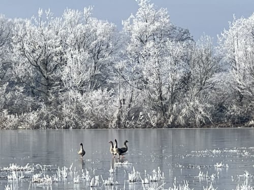Etang Bonnard en Hiver