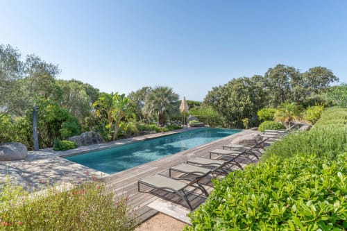 Piscine chauffée de la Villa Marina Di Cavu avec transats, palmiers et jardins méditerranéens à Bonifacio