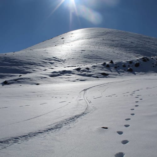 Pendio innevato con impronte che salgono verso l'alto sotto il sole luminoso vicino a Milo, Italia