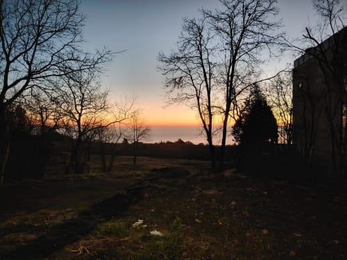 Vista del tramonto all'Hotel Milomax a Milo CT, alberi spogli in silhouette contro il cielo dorato