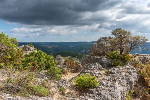 montagne | nuages ​​| arbres | rochers
