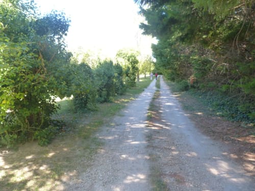 Bienvenue à Charm'In Provence, un havre de paix à Saumane-de-Vaucluse. Découvrez nos charmants hébergements et services.