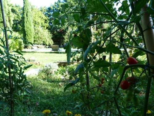 Bienvenue à Charm'In Provence, un havre de paix à Saumane-de-Vaucluse. Découvrez nos charmants hébergements et services.