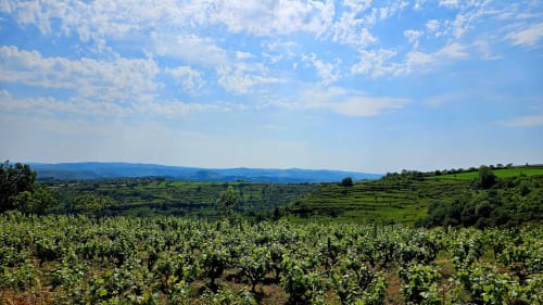 Idéalement situé au cœur du Vallon, dans le petit village du Grand-Mas, à seulement quelques kilomètres de Marcillac, Conques et Rodez ! C'est dans cette petite maison entièrement rénovée avec soin que nous serions ravis de vous y accueillir. Vous n'avez plus qu'à poser vos valises, et partir à la découverte, de nos beaux paysages Aveyronnais, ou goûter à notre excellente gastronomie. Envie de calme et de détente ? Alors n'attendez plus, nous sommes impatients de vous rencontrer.