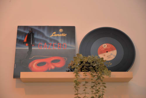 Vinyl record album 'Gazebo' on wooden shelf with trailing plant at Blackwoody Contemporary Hospitality, Naples