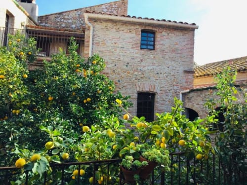 maison | plantes | arbres | fruits | balcon | Hôtel | luxe | haut de gamme |  Spa | bien-être | privé | historique | Retraite | seminaire | zen | tranquille | évasion | romantique | calme | accueil | chaleureux | personnalisé | authentique | typique | discret | Atmosphère | apaisement | sérénité | Expérience | unique | historique | Luxe | calme | sérénité | apaisement | confort | espace | arbres | patios | bassin | terrasse | petit déjeuner | soleil | bain | bronzage
