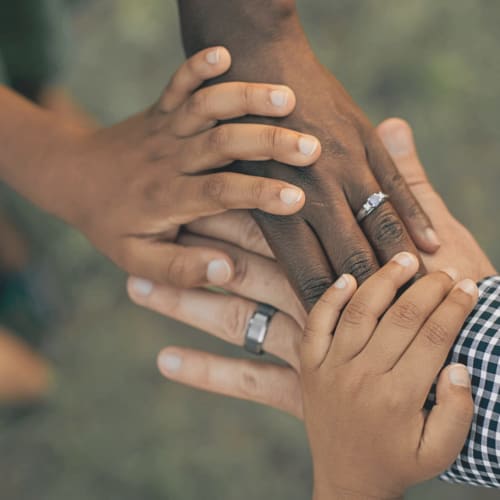 Recién casados mostrando sus anillos de boda en Casa das Jardas, una hospedería rural en Ladoeiro, Portugal