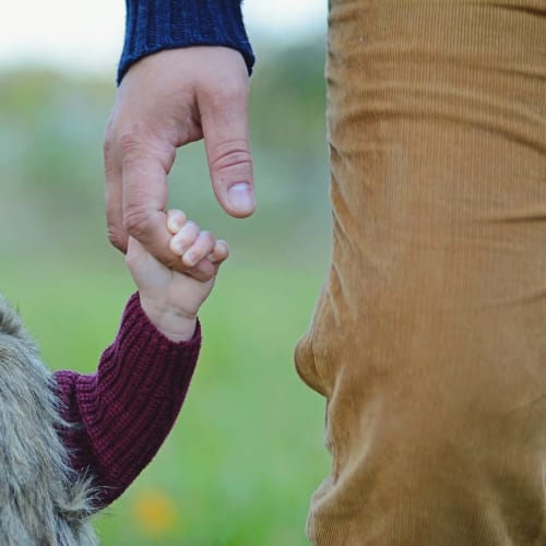 Niño y adulto tomados de la mano con un caballo marrón en Casa das Jardas, retiro rural en Portugal