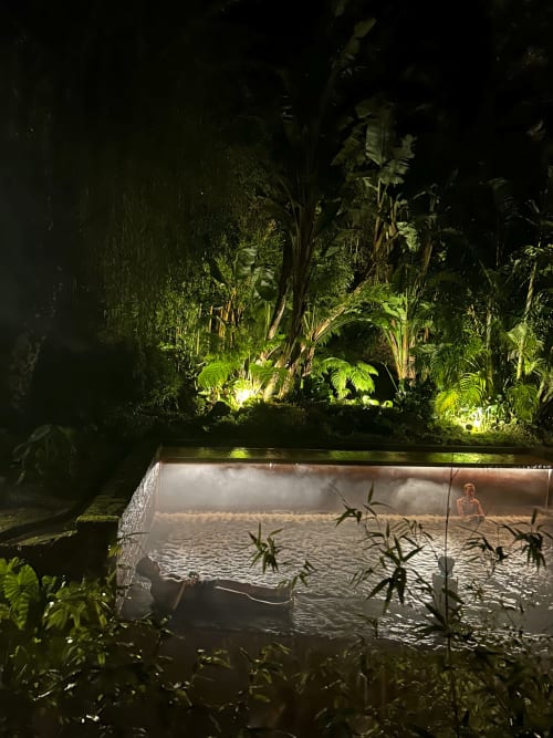 Night view of illuminated outdoor pool at Villa Várzea surrounded by lush tropical plants and greenery in Várzea, Portugal