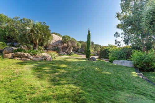 Jardin luxuriant avec pelouse soignée, rochers, palmiers et cyprès à la Villa Marina Di Cavu, Bonifacio