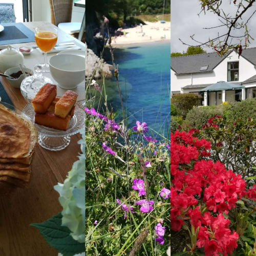 Triptyque montrant l'expérience complète de Ty Coz Breizh : à gauche, un petit-déjeuner savoureux dans une salle lumineuse, au centre, la mer bretonne avec ses paysages apaisants, et à droite, la maison accueillante de Ty Coz Breizh, située à Lorient, Bretagne Sud