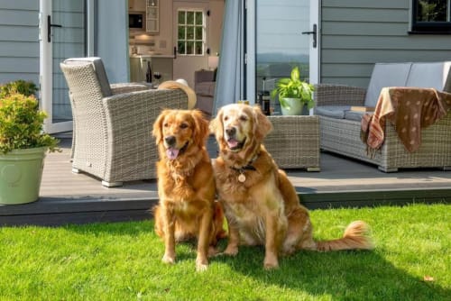 Experience luxury in this holiday home near Tavistock with 1 living room, 1 bedroom, and a walk-in shower. Fully equipped kitchen, terrace with garden views, flat-screen TV, and more amenities. Max occupancy: 4.