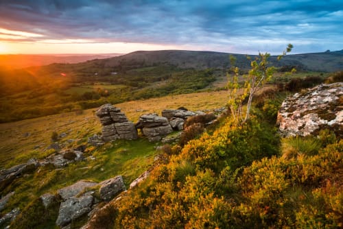 Mountain | Dartmoor national park | grass | greens | trees