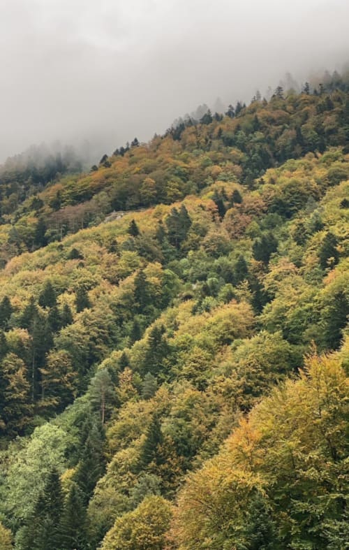 Profitez d'une location de chalet dans les Pyrénées