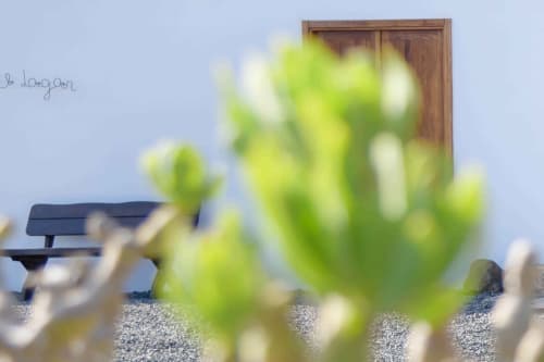 Plantas suculentas verdes desenfocadas con banco de madera y puerta rústica en Finca de La Geria, Yaiza, Lanzarote