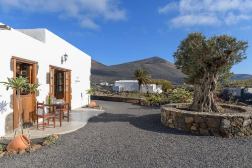 Whitewashed cottage at Finca de La Geria in Yaiza with wooden doors, ancient olive tree, volcanic landscape backdrop