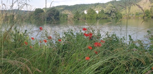Clairseine, countryside, Normandy, Impressionism, waterside, banks of the Seine, the Seine, calm, silence, garden, 100 km from Paris, Giverny, Rouen, Val de Reuil, Louviers, Eure, Les Andelys, Claude Monet, Impressionists, eco-friendly, privacy, romantic getaway, couples' getaway, rejuvenation, Le Vaudreuil, Tournedos-sur-Seine, Porte de Seine, Nature, France, Design, vintage, decoration, comfort, high-end, luxury, pleasure, terrace, park, private, decoration, high-end, beautiful amenities, view of the Seine, fishing, hiking, rest, rejuvenation, pontoon, boat, all seasons, spring, summer, autumn, winter, flavours, LGBTQ +, dogs accepted, cottage, charming cottage, guest house, gay friendly