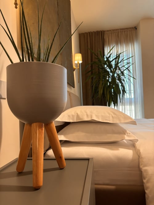 Accogliente camera B&B di Delta Majestic a Pordenone con piante in vaso, fioriera con gambe in legno e cuscini color crema