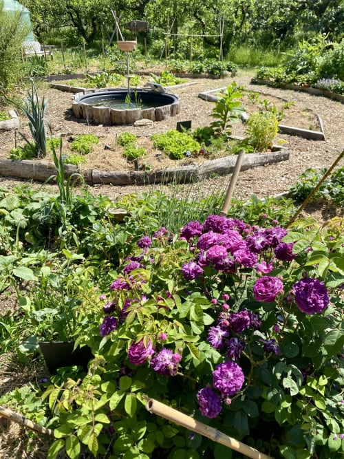 maison d hotes-hotel - biodiversite - eco-domaine - jardin fleuri