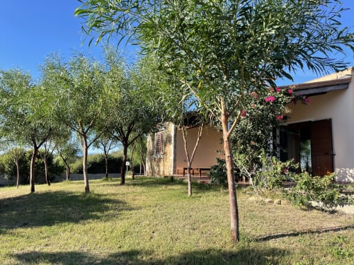 Tuscan villa in Orosei with olive trees, garden patio, magenta bougainvillea, and wooden sun loungers
