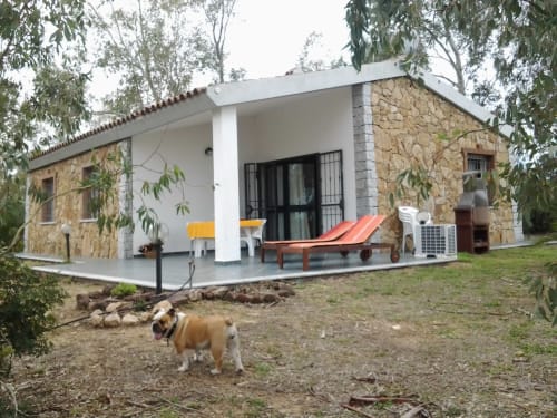Rustic stone villa in Orosei with modern porch, wooden loungers, and dog in garden surrounded by eucalyptus trees