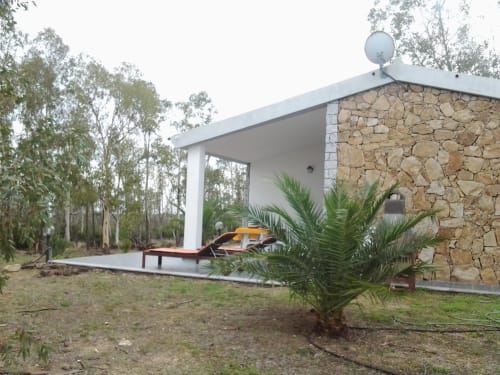Modern stone villa in Orosei with covered veranda, wooden loungers, palm plants, and eucalyptus trees surrounding the