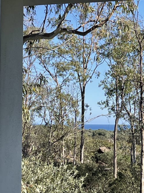 Eucalyptus trees framing Mediterranean Sea view from Orosei villa veranda in Italy